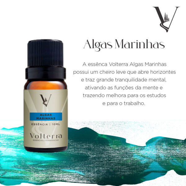 Essência Volterra Algas Marinhas 10ml - Image 2