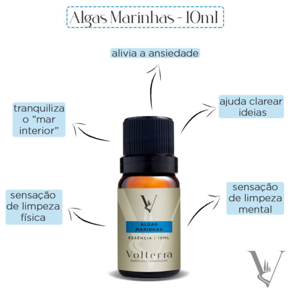 Essência Volterra Algas Marinhas 10ml - Image 3