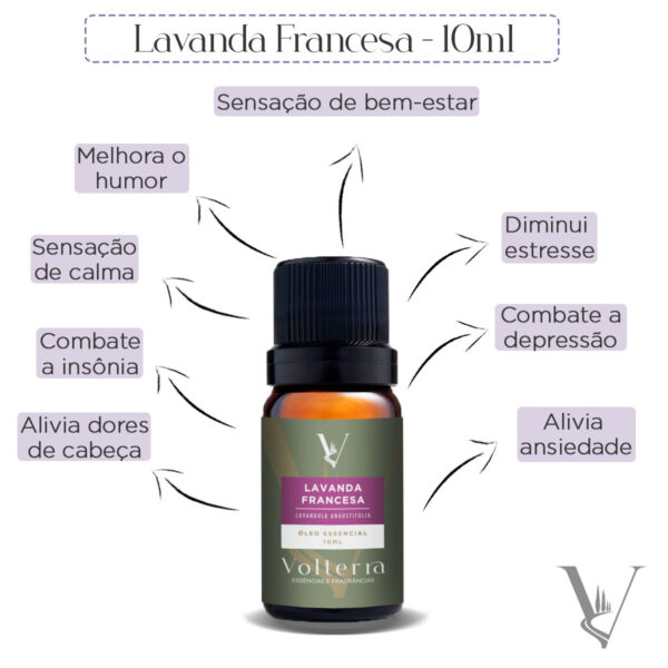 Óleo Essencial Lavanda Francesa 10ml - Image 3